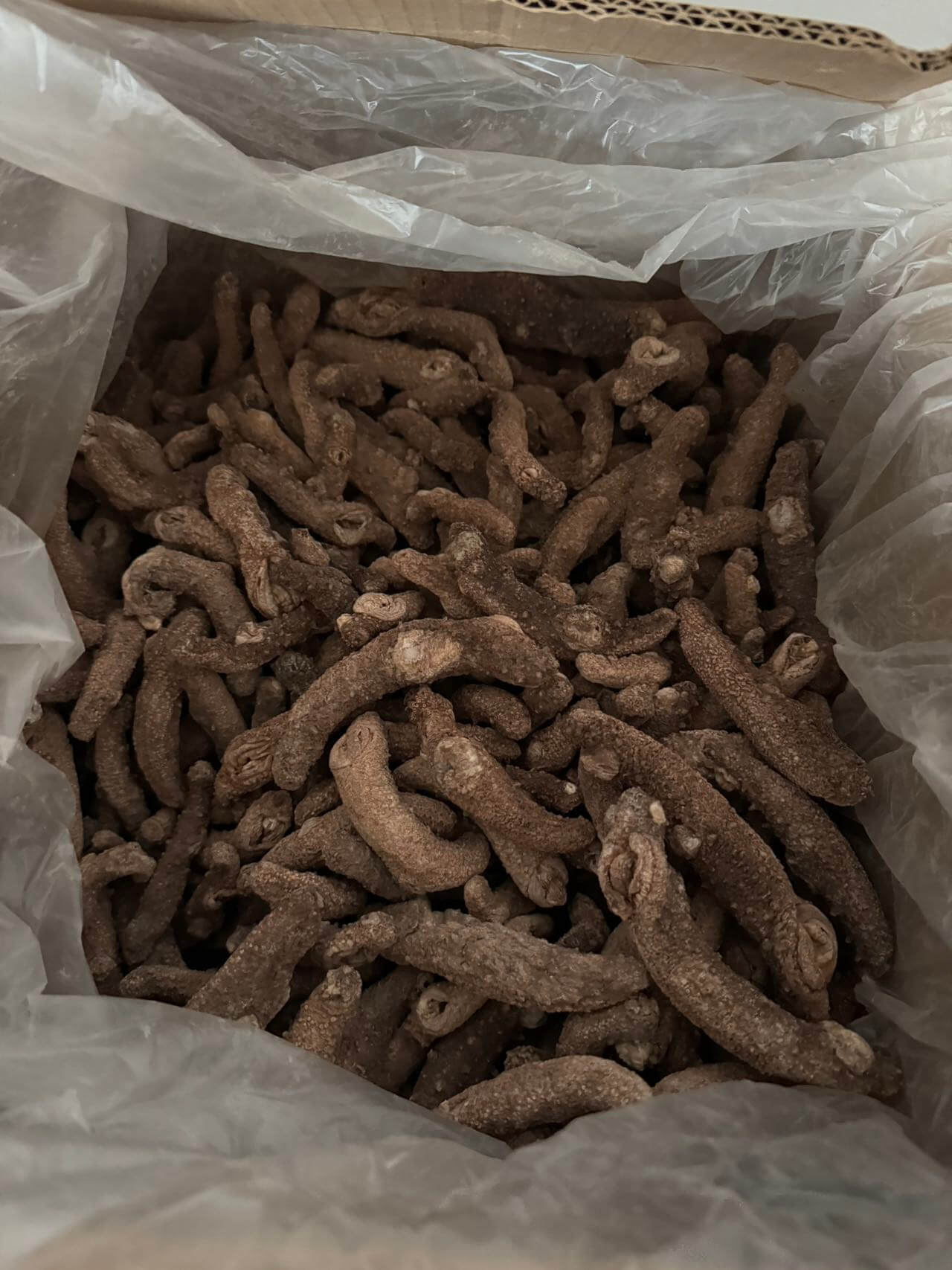 Dried Red Sea Cucumber 3